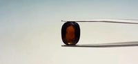 Hessonite – 10.95 Carat