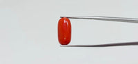 Red Coral – 8.35 Carat