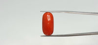 Red Coral – 12.05 Carat