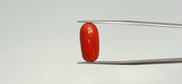 Red Coral – 8.95 Carat
