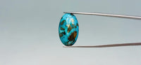 Turquoise - 26.95 Carat