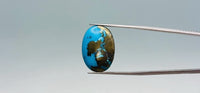 Turquoise - 21.6 Carat