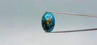 Turquoise - 25.5 Carat