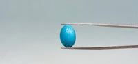 Turquoise - 7.8 Carat