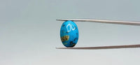 Turquoise - 12.4 Carat
