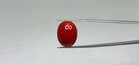 Red Coral – 21.3 Carat