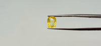 Yellow Sapphire - 2.9 Carat