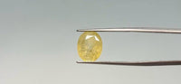 Yellow Sapphire - 8.1 Carat