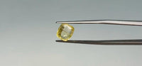 Yellow Sapphire - 3.55 Carat