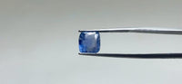 Blue Sapphire – 3.9 Carat
