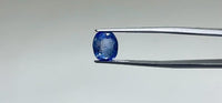 Blue Sapphire – 4.1 Carat