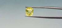 Yellow Sapphire - 5.55 Carat