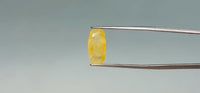 Yellow Sapphire - 5.5 Carat