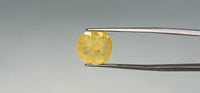Yellow Sapphire - 7.6 Carat