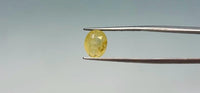 Yellow Sapphire - 5.5 Carat