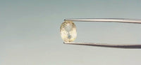 Yellow Sapphire - 3.2 Carat