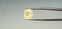 Yellow Sapphire - 6.6 Carat