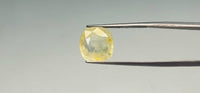 Yellow Sapphire - 7.05 Carat