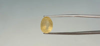 Yellow Sapphire - 5.55 Carat