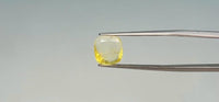 Yellow Sapphire - 2.75 Carat