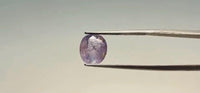 Pink Sapphire - 4.45 Carat