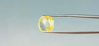 Yellow Sapphire - 7.7 Carat
