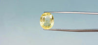 Yellow Sapphire - 7.9 Carat
