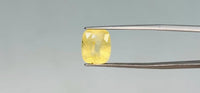 Yellow Sapphire - 8.95 Carat