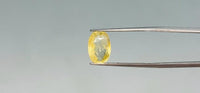 Yellow Sapphire - 5.6 Carat