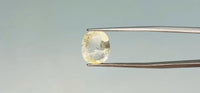 Yellow Sapphire - 6.65 Carat