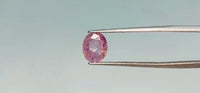 Pink Sapphire - 3.6 Carat