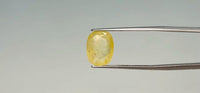 Yellow Sapphire - 7.25 Carat