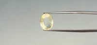 Yellow Sapphire - 3.8 Carat