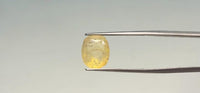 Yellow Sapphire - 6.75 Carat