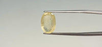Yellow Sapphire - 5.5 Carat