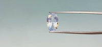 Pitambari – 3.95 Carat