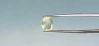 Yellow Sapphire - 3.15 Carat