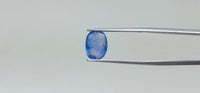 Blue Sapphire – 2.95 Carat