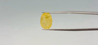 Yellow Sapphire - 7.75 Carat