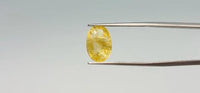 Yellow Sapphire - 5.9 Carat