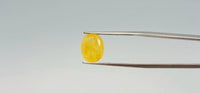 Yellow Sapphire - 6.9 Carat