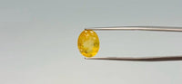 Yellow Sapphire - 5 Carat