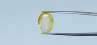 Yellow Sapphire - 6.95 Carat