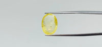 Yellow Sapphire - 7.55 Carat