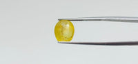 Yellow Sapphire - 6.5 Carat