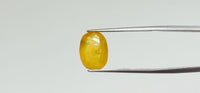 Yellow Sapphire - 5.15 Carat