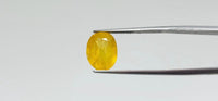 Yellow Sapphire - 5.85 Carat
