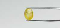 Yellow Sapphire - 5.55 Carat