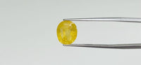 Yellow Sapphire - 5.7 Carat