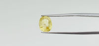Yellow Sapphire - 4.8 Carat